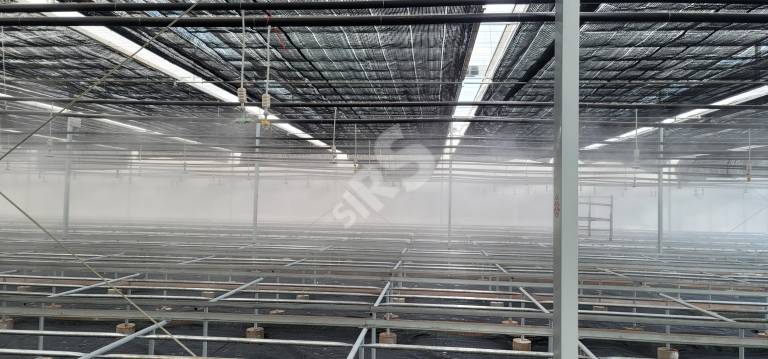 Batch 20221111 090054