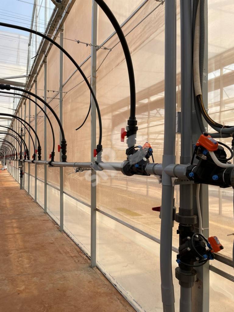 Batch Z4315574832954 5b7010c28435fad99f683ffffa947dc1